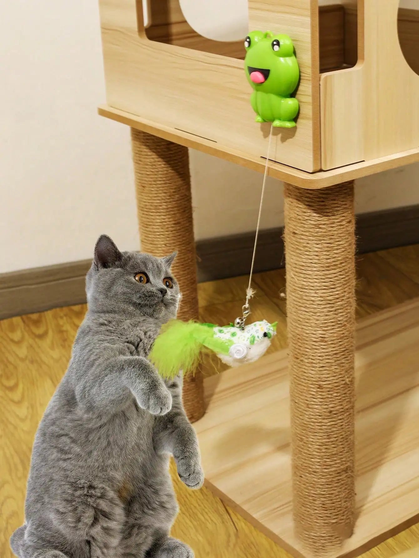 1pc Interactive Toy For Pet Cats, Featuring A Frog With An ExtendableRope And Replaceable Heads For Hanging And Playing With Cat