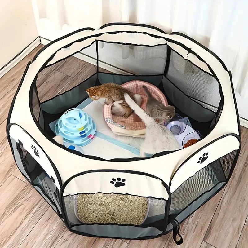 Cat Maternity Room