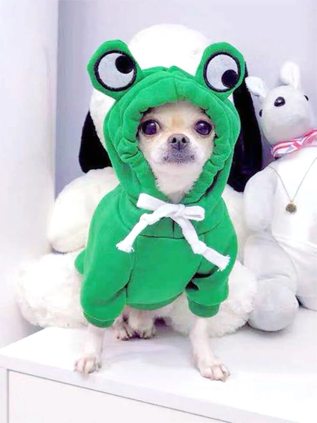 Pet Clothing