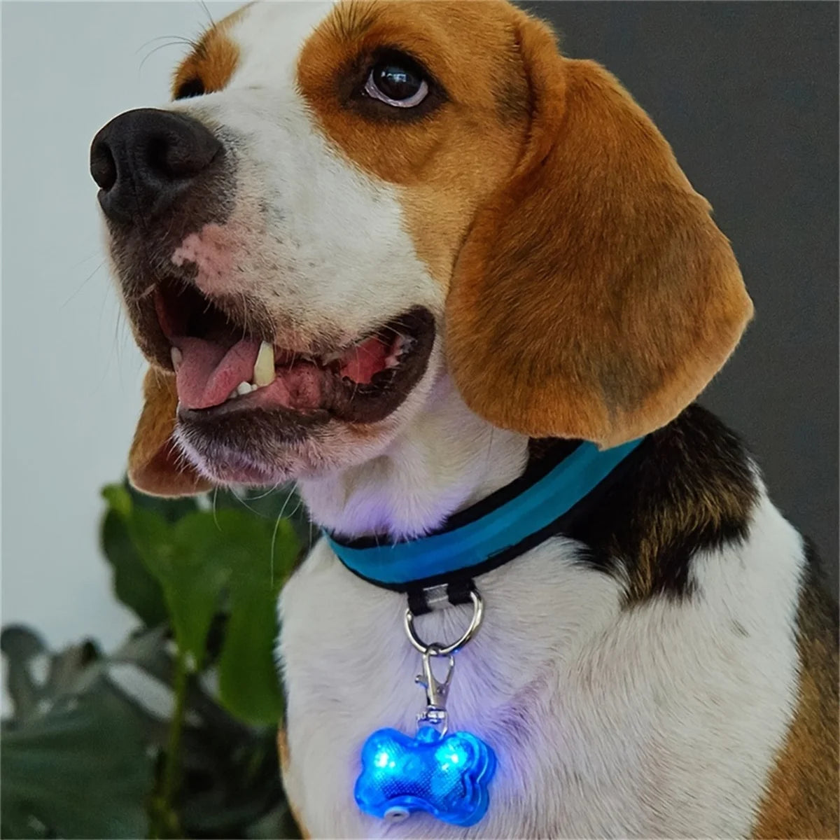 Dog bone pendant Dog tag LED light pendant Pet products anti-loss products  1pc