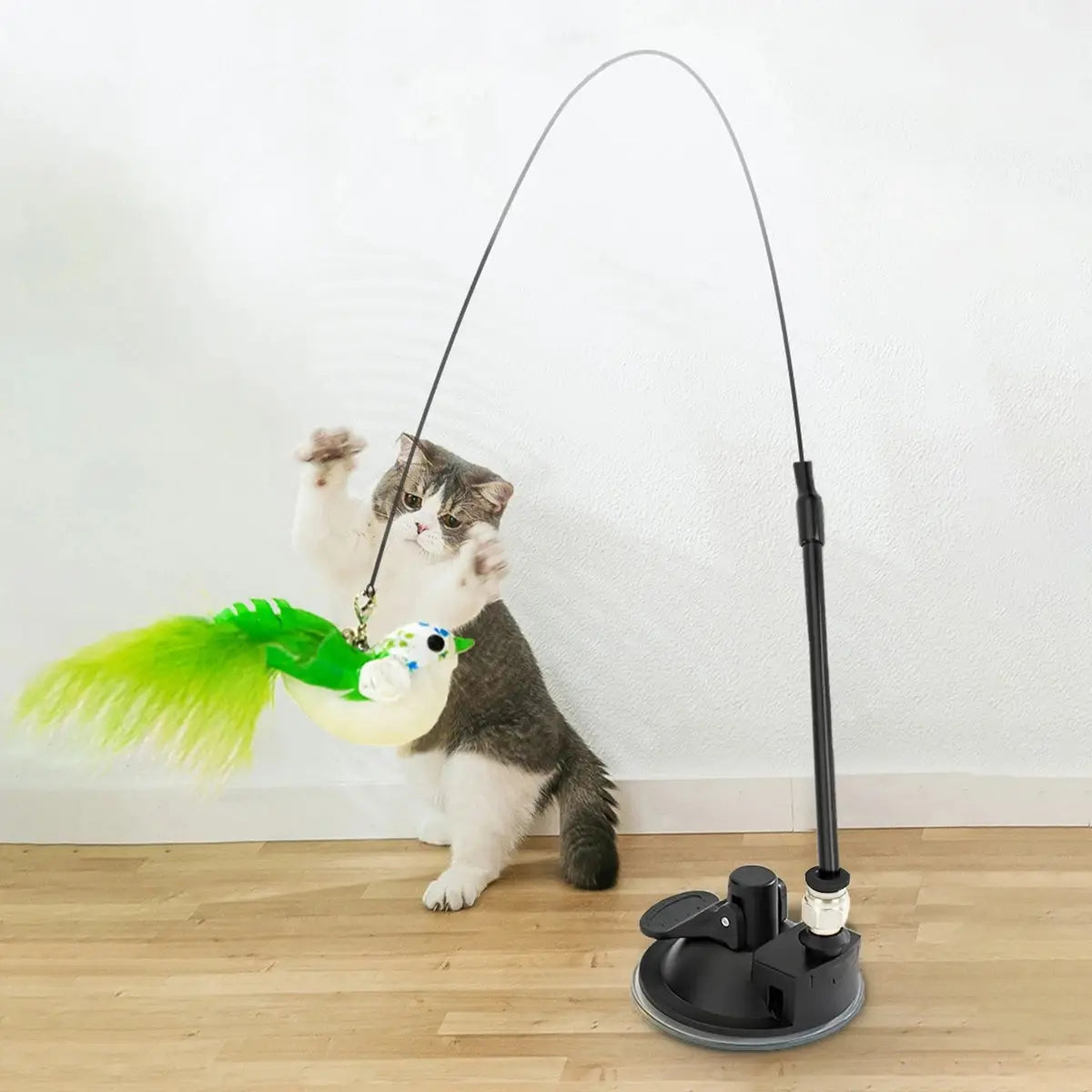 Pet Toys