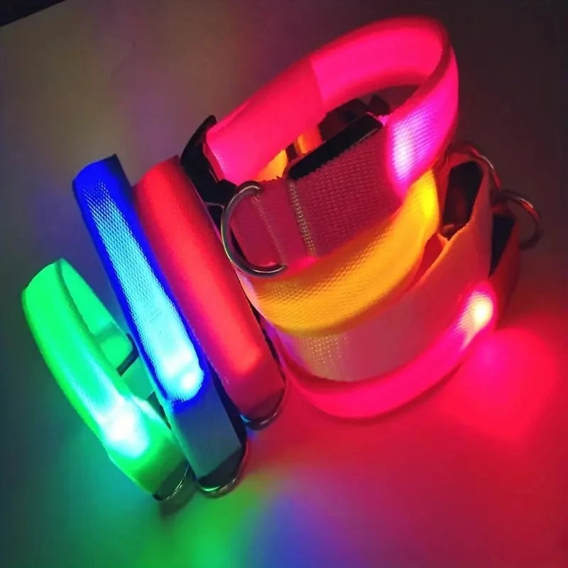LED Light-Up Dog Collar